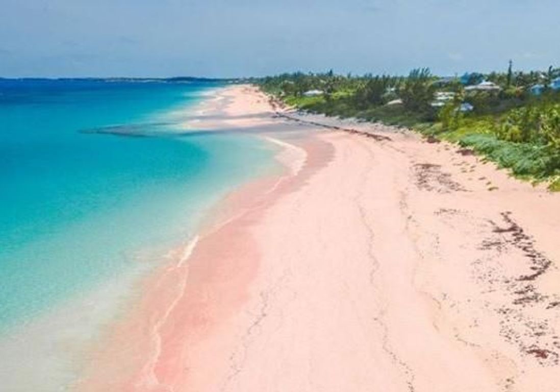 bahamas plage de sable rose
