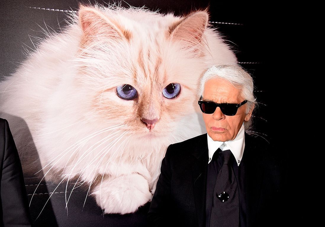 haakje Duplicatie wetenschapper Karl Lagerfeld : non, son chat Choupette n'héritera pas de sa fortune - Elle