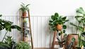 Le guide ultime pour s'occuper de ses plantes d'intérieur à l'arrivée du printemps