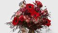 Saint-Valentin : voici les fleurs parfaites (et de saison) pour changer du trop classique bouquet de roses