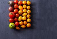 Tomate originale : nos idées de recettes de tomates ...