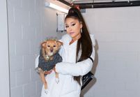 Ariana Grande : les premières photos de son mariage avec ...