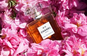 Chanel N°5 : l’histoire derrière le parfum le plus connu au monde