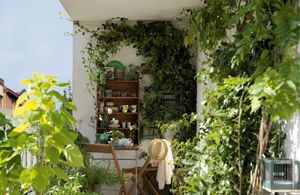 Nos 15 idées pour mettre son balcon au vert
