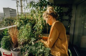 8 astuces pour avoir un balcon nourricier en permaculture