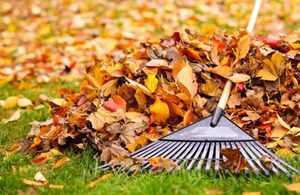 En automne, que faire des feuilles mortes ?