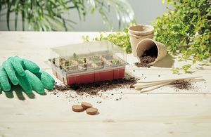 Des kits de plantation pour jardiner même sans extérieur