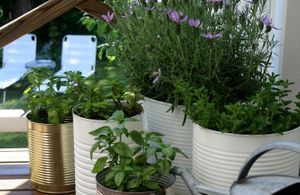 5 idées de jardin pour mini balcon