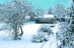 Comment préparer votre jardin à affronter l'hiver ?