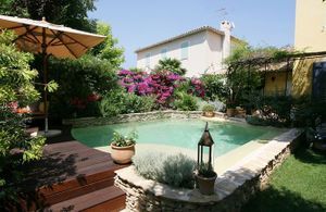 Quel jardin méditerranéen pour ma piscine ?