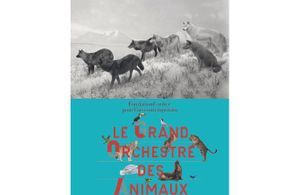 "Le grand orchestre des animaux" à la Fondation Cartier pour l'art contemporain