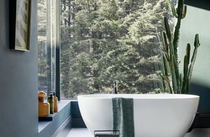 Comment les plantes vertes vont transformer la déco de votre salle de bain