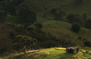 Une cabane écolo en plein cœur de la nature brésilienne