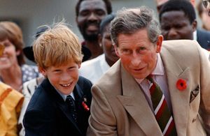 « Pas taillé pour un tel rôle » : le prince Harry tacle Charles III sur son rôle de père
