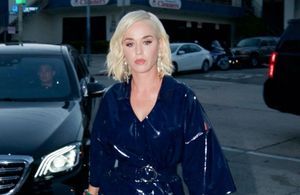 Seal s'en prend à Katy Perry : "crée la musique, ne la vole pas"