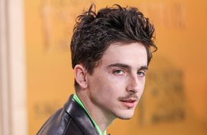 Timothée Chalamet : qui est son père français, Marc Chalamet ?