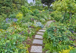 Aménager une allée de pas japonais au jardin