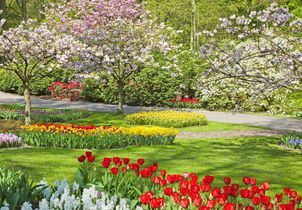 Au printemps, 10 gestes pour démarrer le jardin et le balcon