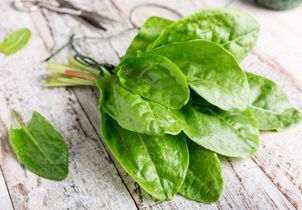 Comment cultiver l’oseille au potager ?