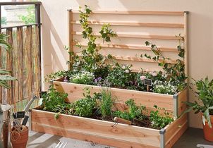 Jardinage : l'astuce inattendue pour ne plus avoir de terre sous les ongles