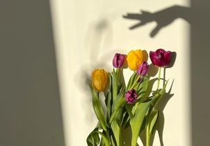 L’astuce toute simple pour faire durer un bouquet de tulipes plus longtemps