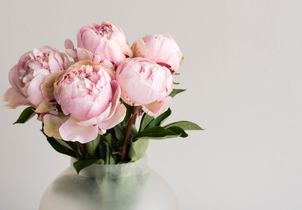 Cette astuce simple prolongera la durée de vie d’un bouquet de pivoines