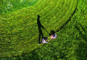 Pourquoi vous ne devriez plus jeter votre gazon coupé ?