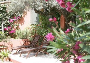  Voici les plantes indispensables pour un jardin méditerranéen ?