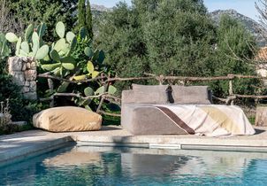 Quel jardin méditerranéen pour ma piscine ?