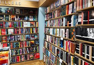 10 livres à lire si vous êtes fan de Freida McFadden 