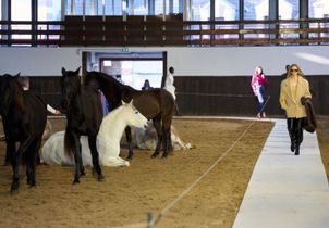 Un spectacle équestre, une foule compacte chez Alaïa, un bomber très 2016… Mes 6 moments préférés de la Fashion Week (jour 3)