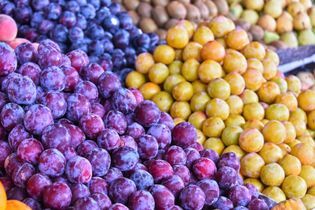 Une avalanche de prunes à découvrir
