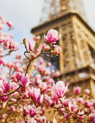 Que faire à Paris le week-end du 24, 25 et 26 mars ?