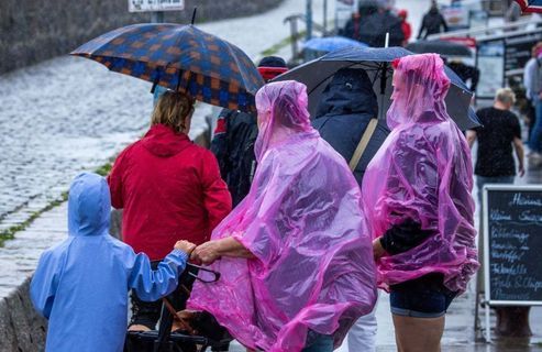 Mes vacances de l'enfer Elle