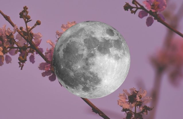 As de pique signification spirituelle – Rose La Lune