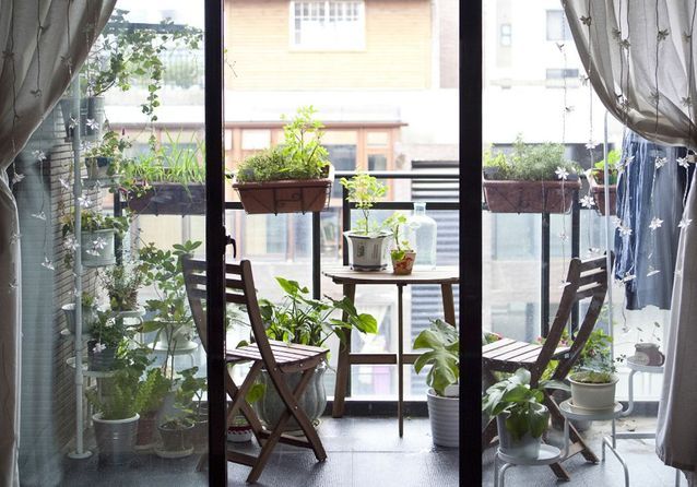 Préférer les plantes suspendues pour un balcon optimisé façon jungle