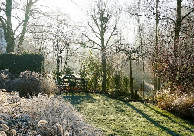 En hiver, 11 gestes pour entretenir le jardin et le balcon