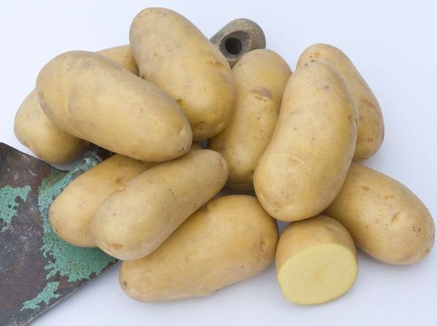 5 Varietes De Pommes De Terre A Connaitre Elle Decoration