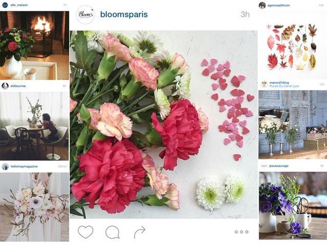 Les Instagram de la semaine : des intérieurs fleuris