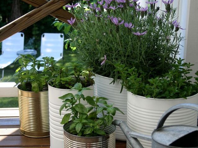 5 idées de jardin pour mini balcon