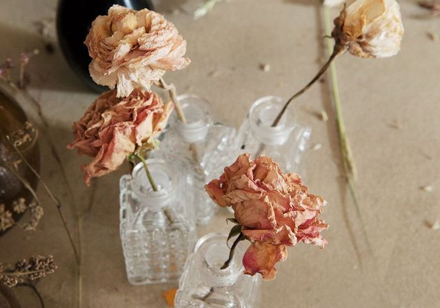 Le Très Grand Retour Des Fleurs Séchées Elle Décoration