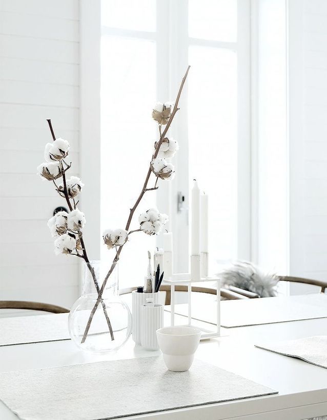 Un bouquet de branches de coton séchées