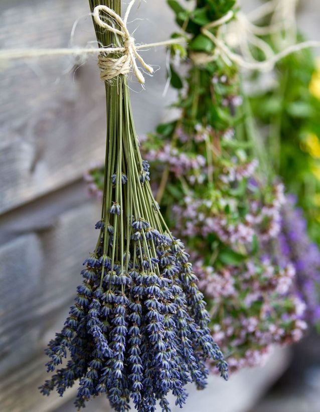 A strauss dried lavender