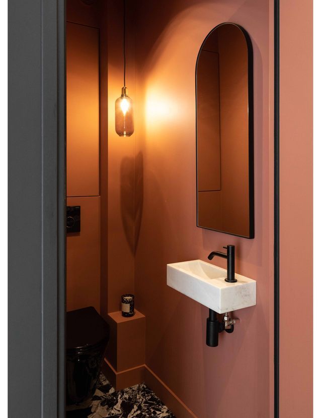 Terracotta and black toilet