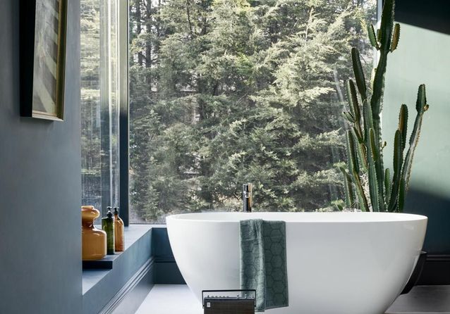 Comment les plantes vertes vont transformer la déco de votre salle de bain