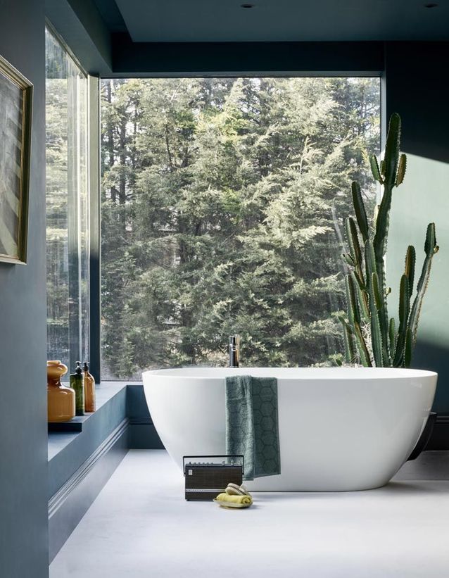 Nos idées de plantes pour une salle de bain végétale ...