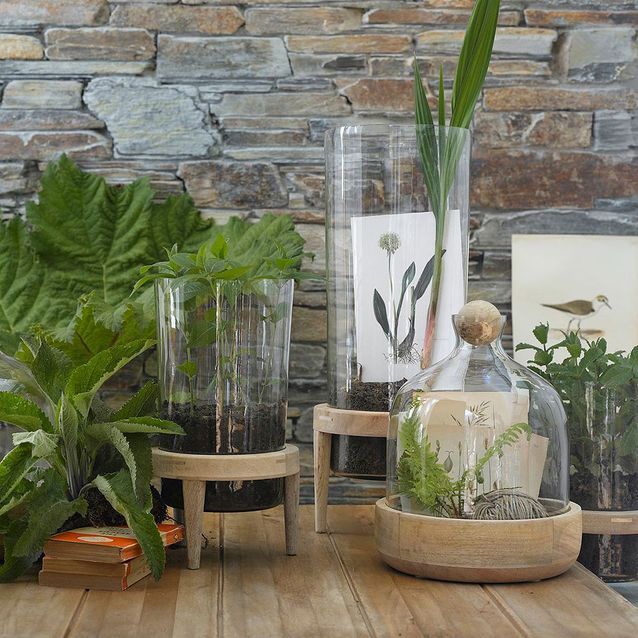 Terrariums découvrez ces miniserres ultra déco ! Elle Décoration