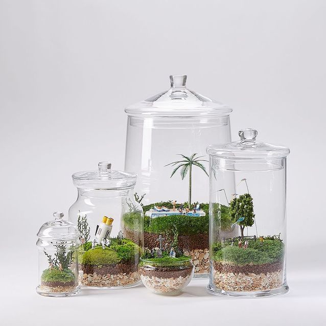 Terrariums découvrez ces miniserres ultra déco ! Elle Décoration