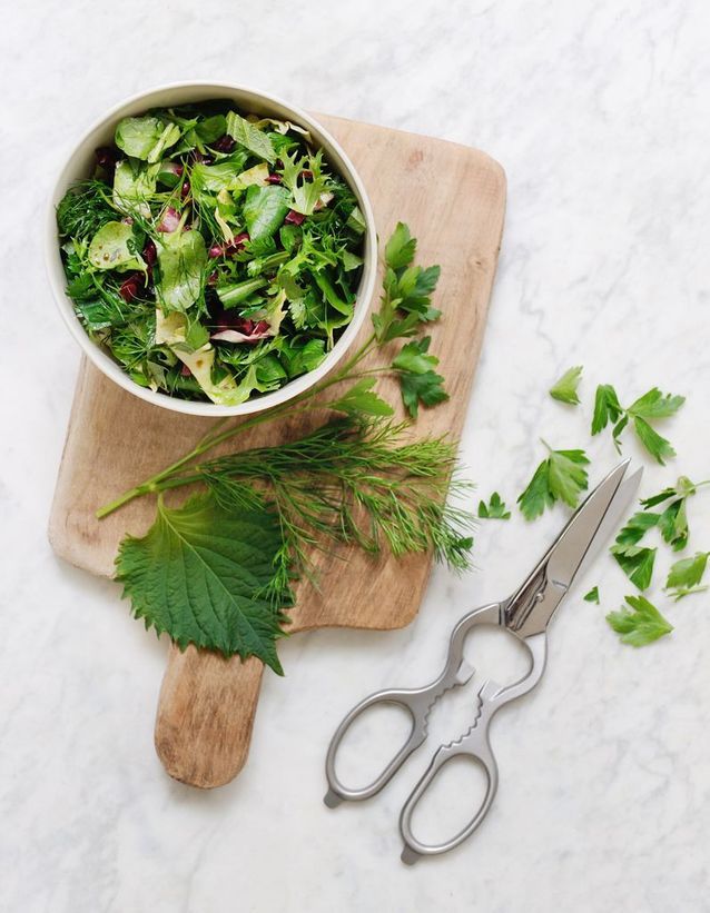 Recette minceur rapide : salade d'herbes