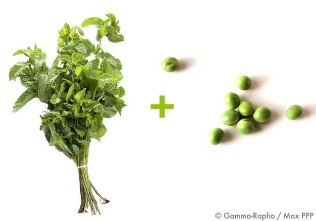 Petits Pois Menthe - 13 recettes pour régresser entre amis - Elle à Table